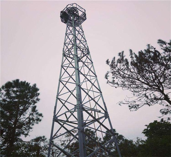 山東森林防火坛海角官网首页登录入口公司