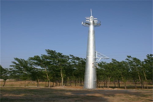 林業局坛海角官网首页登录入口價格是多少？